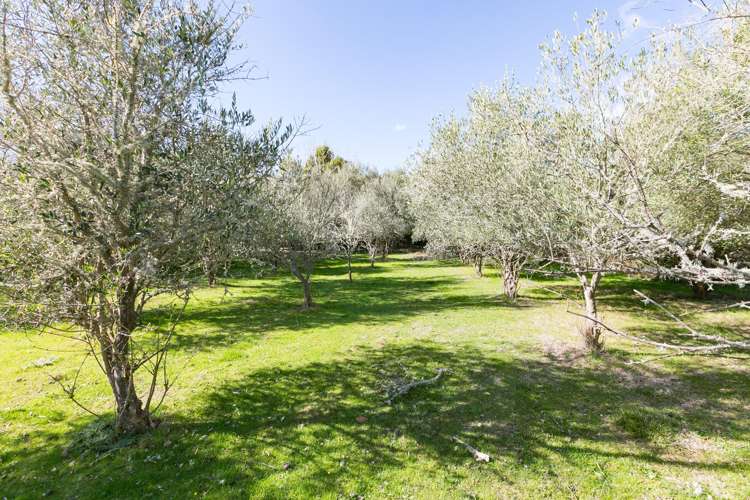 21 Eagle Street Waipawa_22