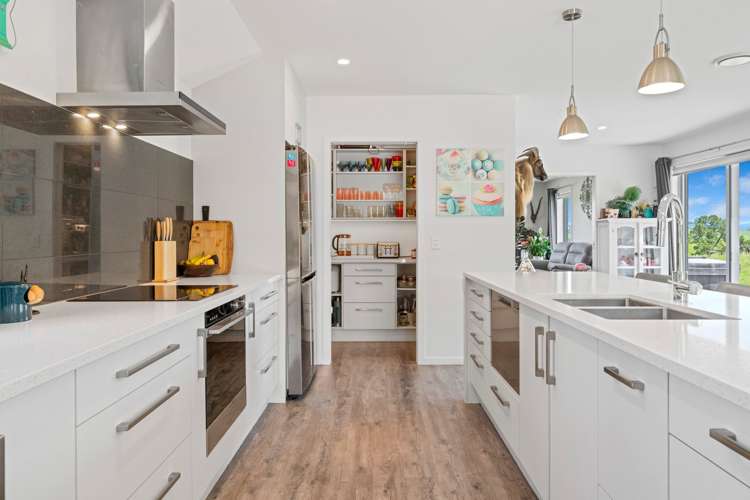 151b Palmer Mill Road Wairakei And Surrounds_8