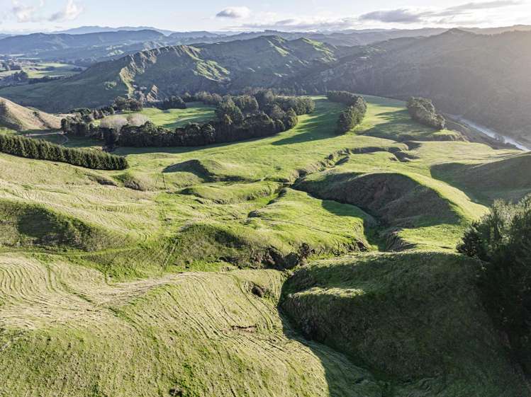 1015 Waitara Road Te Haroto_43