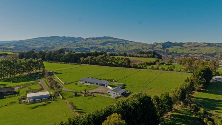 38c Grove Road Ashhurst_2