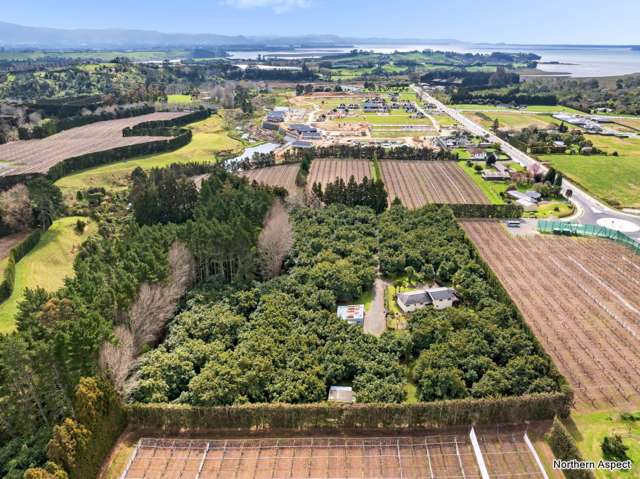 61 Prole Road Omokoroa_1