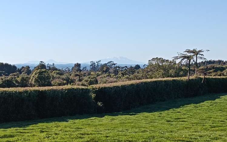 1971 Egmont Road Kaimiro_20