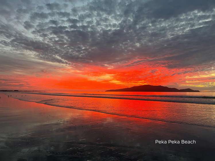 289 Peka Peka Road Peka Peka_16