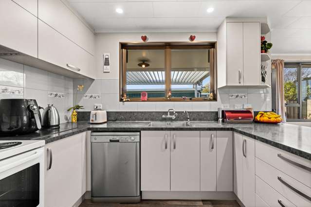 53 Westminster Avenue Tamatea_1