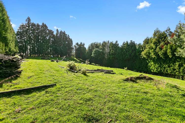 156a Lockington Road Aongatete_17