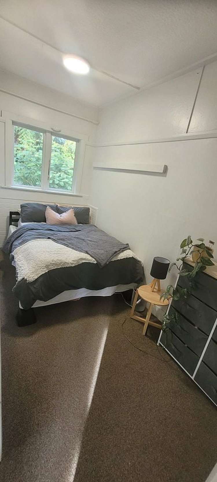 6 Semeloff Terrace Aro Valley_13