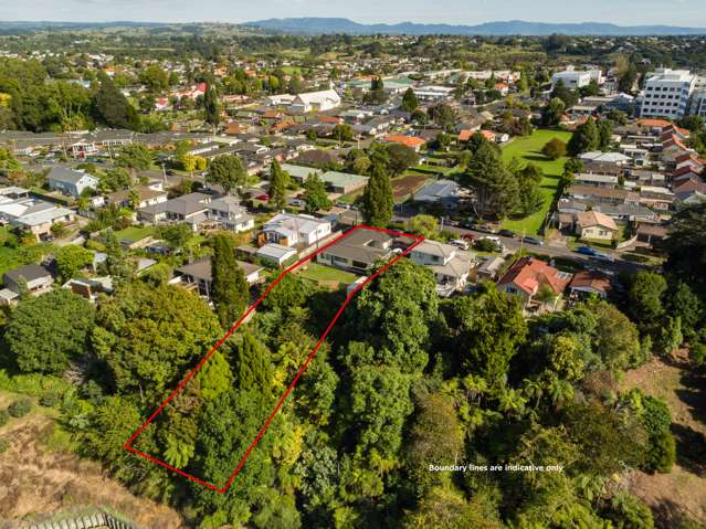 26 Botanical Road Tauranga South_4