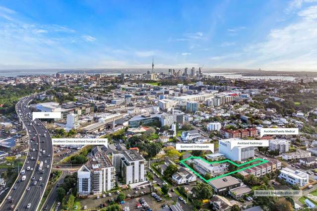 101 Remuera Road Remuera_3