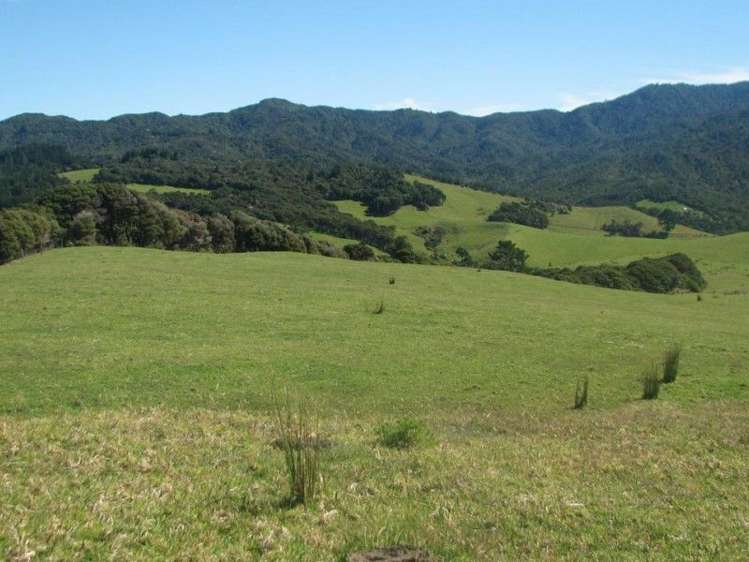 94b Carey Road Port Charles_12