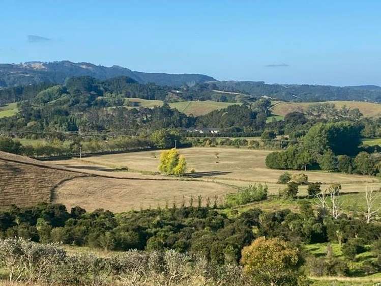 1166 Leigh Road Matakana_7
