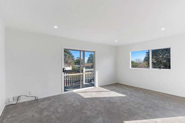 Lot 1, 102 Finlayson Avenue Clendon Park_2