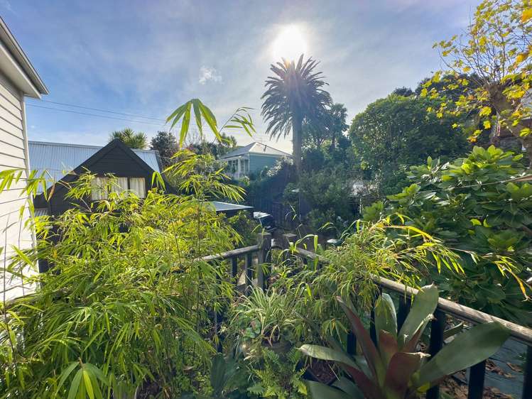 Address withheld Eden Terrace_13
