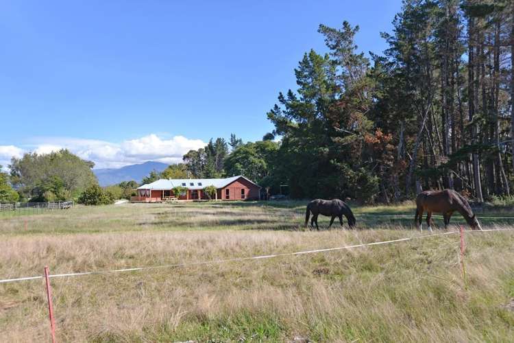 41 Nees Road Takaka_9