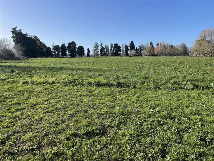 149A Old Te Kuiti Road Otorohanga_1