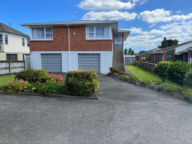 Newly Renovated Spacious House