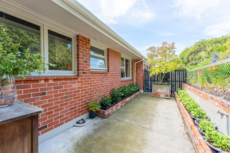 5/24 Beverley Hill Maori Hill_19