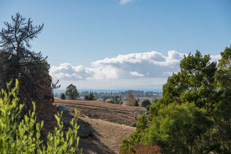 146c Motueka River West Bank Road Tasman_24