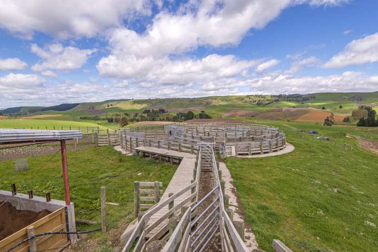 1537 Geraldine-Fairlie Highway Fairlie_10