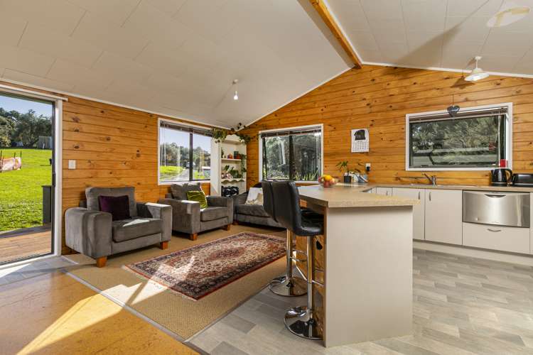 121 Elmore Road Paremoremo_10