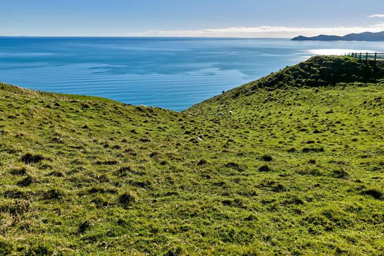 Lot 2,3 and 5/1275 Paekakariki Hill Road Paekakariki Hill_23