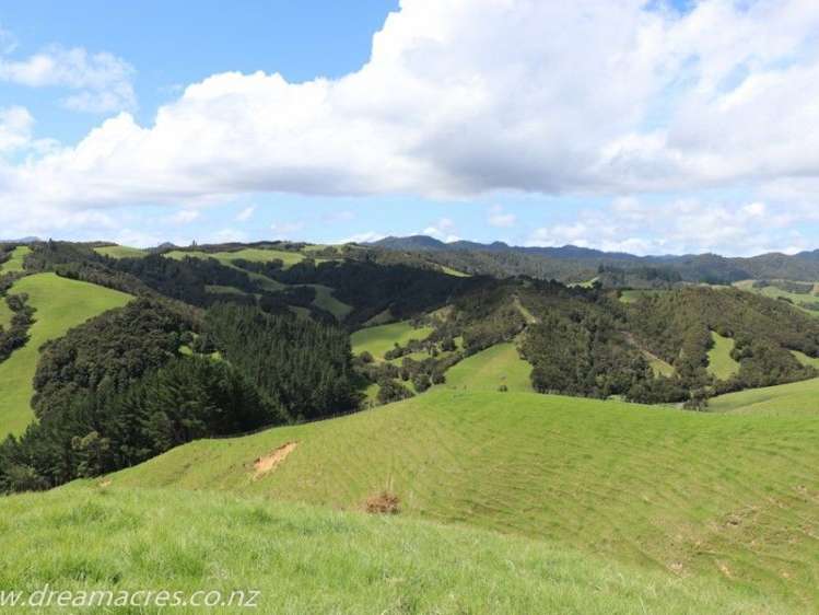 242 Owae Road Russell Surrounds_20