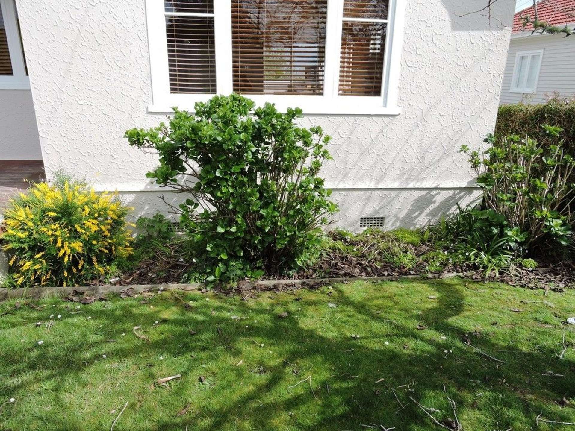 45 Balmain Road Birkenhead_0