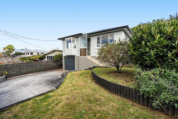 228 Carrington Street Vogeltown_19