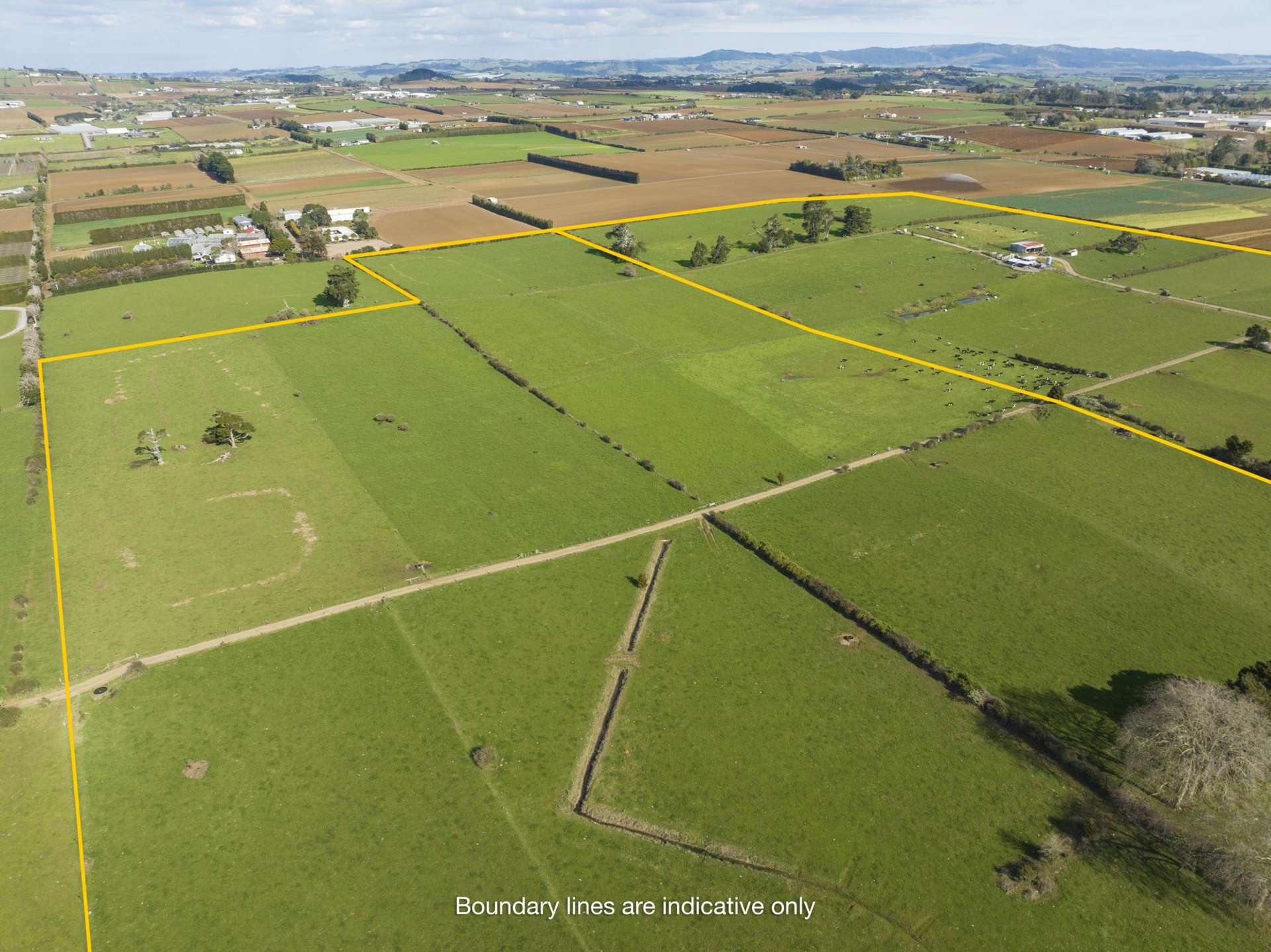 321 & 293 Gun Club Road Pukekohe_0