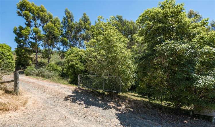 98 Mac'S Road Hira_25