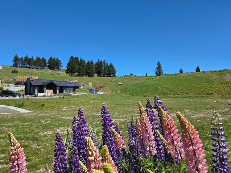 17 Petes Place Lake Tekapo_10