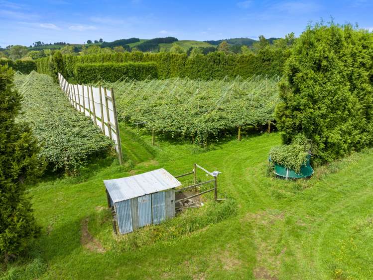 79 Woodlands Road Waihi Beach_12