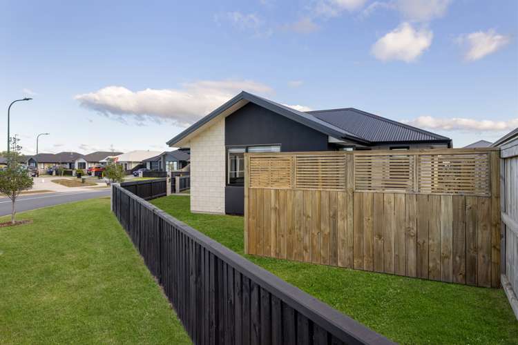 65 Union Drive Papamoa_24