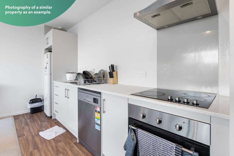 29/17 Owens Place Mount Maunganui_2