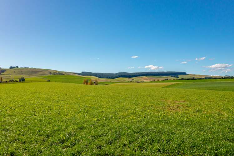 795 Omihi Road Waipara_9