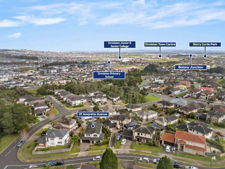 37 Amaretto Avenue Flat Bush_21