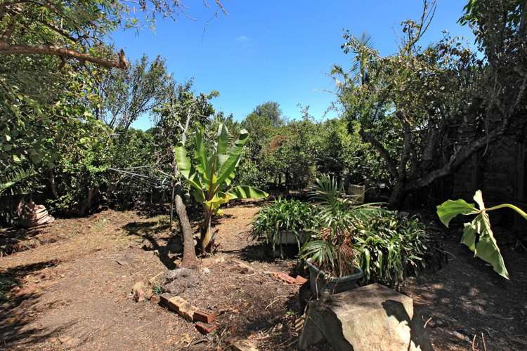 8 Wallingford Street Grey Lynn_8