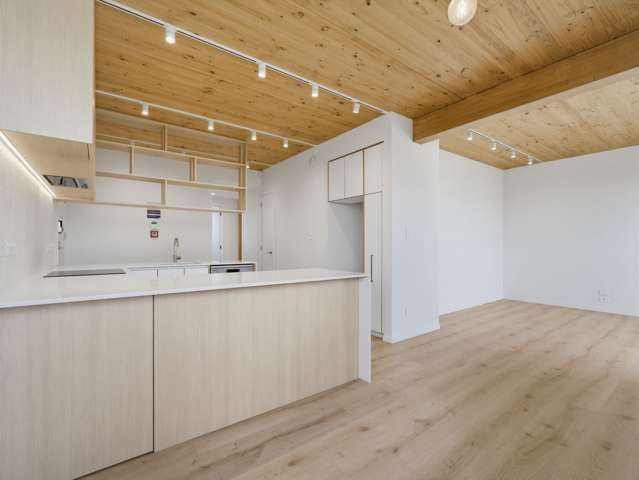 SPACIOUS, SUN-DRENCHED + NEW! THE IDEAL APARTMENT