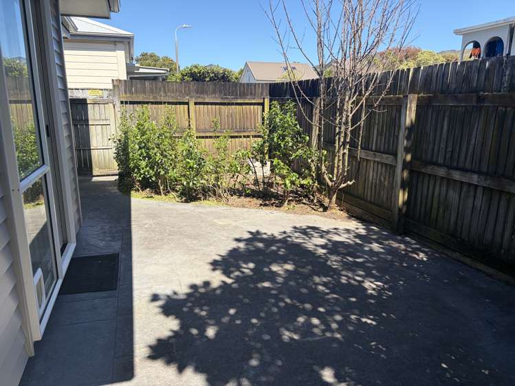 10 Trafalgar Street Johnsonville_12