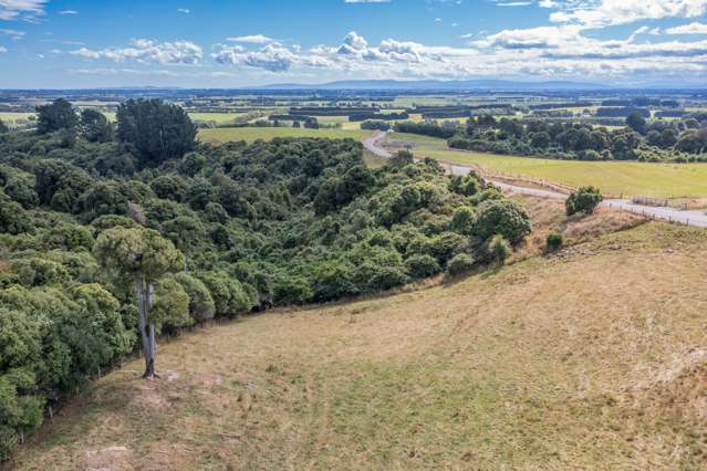 10 Kahikatea Drive Gore Surrounds_3