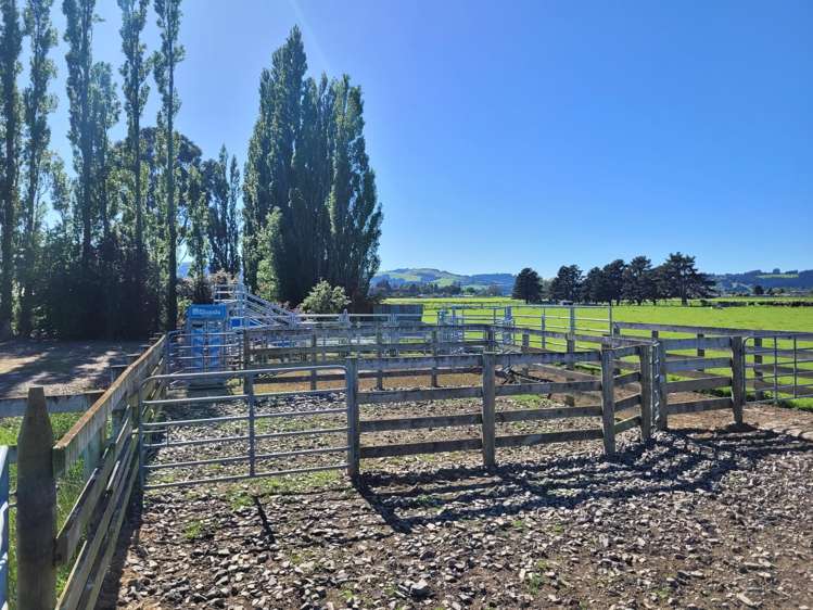 101 Dukes Road Mosgiel_7