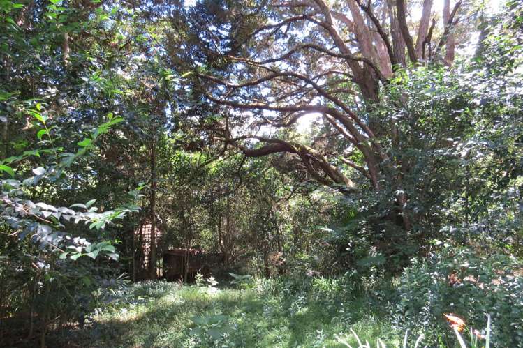 3750 State Highway 10 Kaeo_16