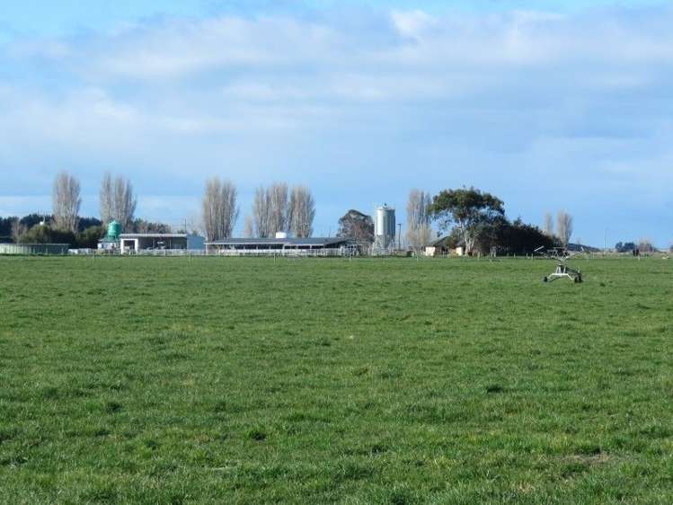 110 Donehue Road Clandeboye_29