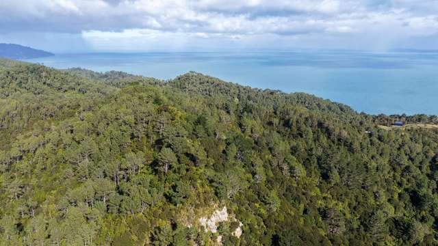 1 Tapu Heights Rise Tapu_1