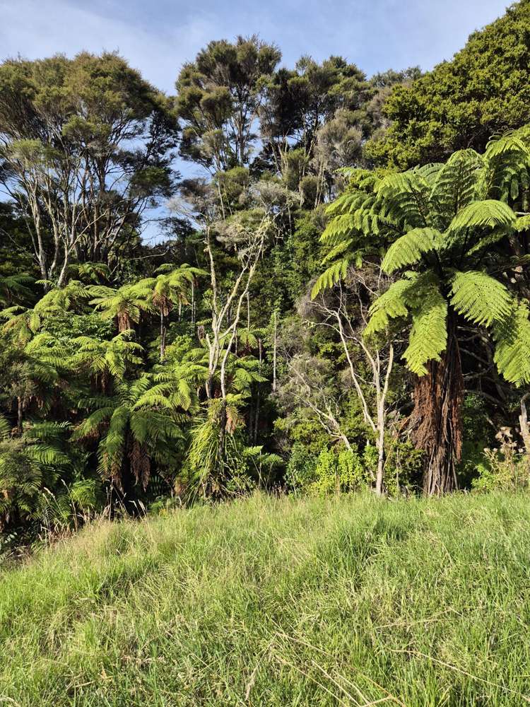 158 Kereru Lane Kaiwaka_23