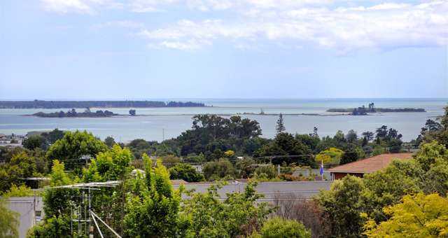 5 Primrose Place Richmond_4