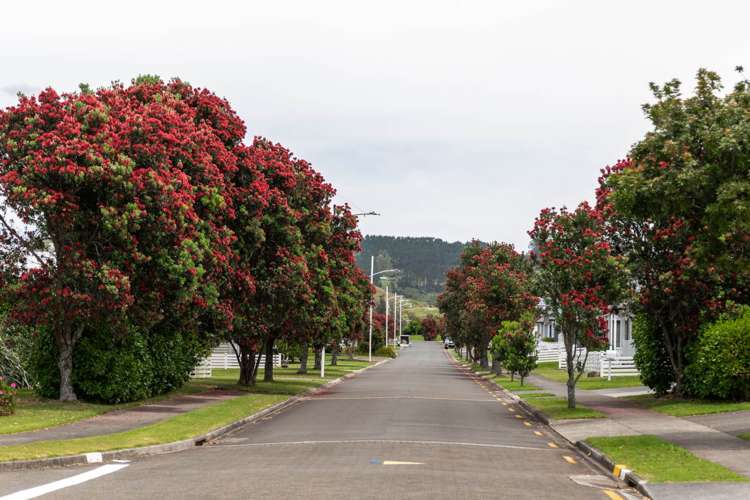 56 Ocean Breeze Drive Waihi Beach_21