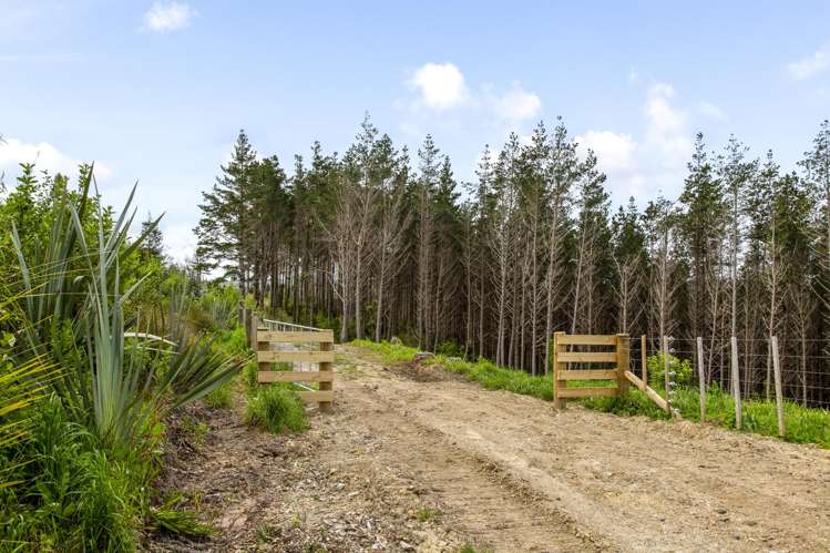 Lot 5/197 Wishart Road Helensville_12