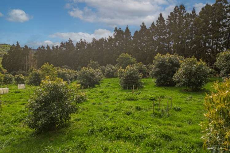 548B Waihi Whangamata Road Waihi_8