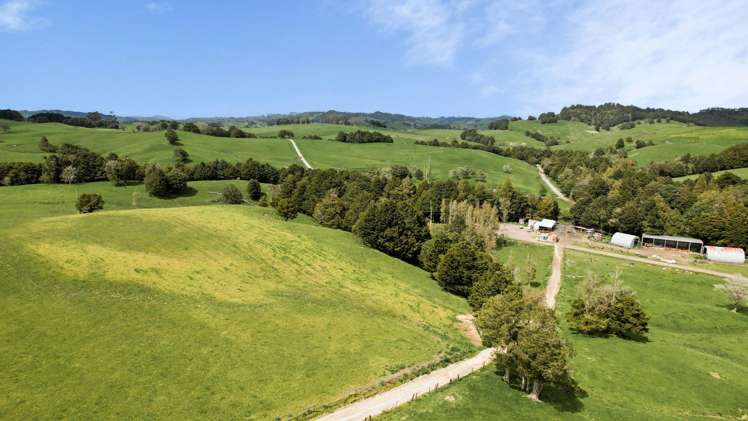 2051 Paparoa-Oakleigh Road Taipuha_21