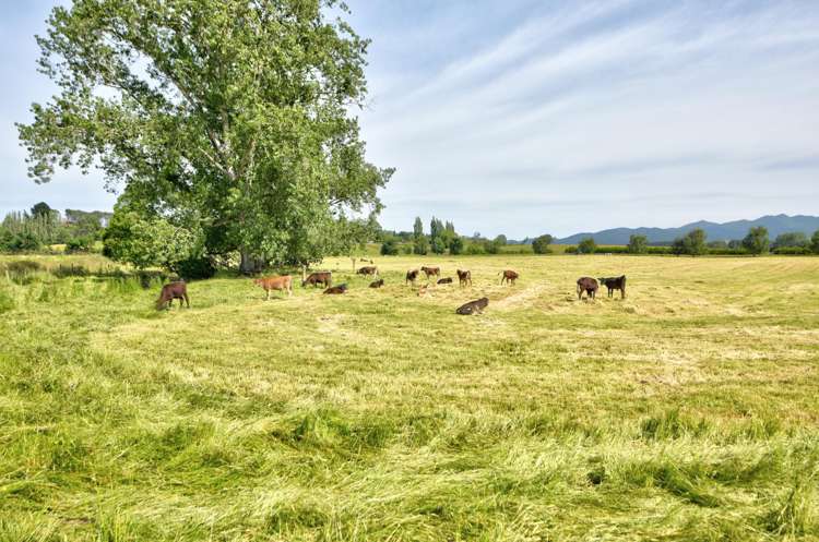 Charlton Road Upper Charlton_15